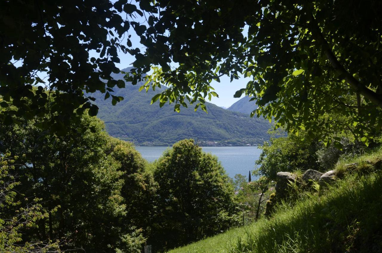 Anma Cottages The Secret Garden Pianello Del Lario Exterior photo